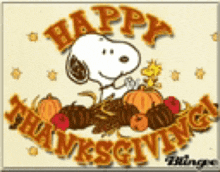 a happy thanksgiving card with snoopy and woodstock on it