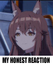 a picture of a girl with fox ears and the words " my honest reaction " below her