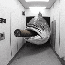 a fish with a cigar in its mouth is in a hallway with a sign on the wall that says 398-12