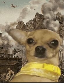 a small dog wearing a yellow collar is standing in front of a battle scene