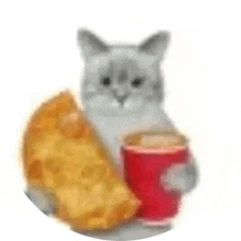 a cat is holding a cup of coffee and a piece of cheese .