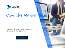 a cannabis market report from straits research shows a man looking at a computer screen