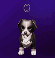 a brown and white dog with its tongue hanging out is standing in front of a purple background