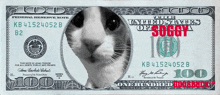 a one hundred dollar bill with a cat on it