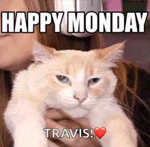 a cat is being held by a woman with the caption happy monday travis !