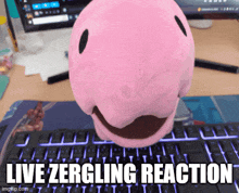 a pink stuffed animal sitting on top of a keyboard with the words live zergling reaction written below it