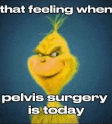 a grinch cartoon with the words that feeling when pelvis surgery is today