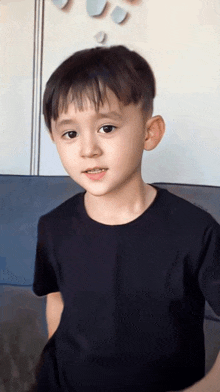 a young boy wearing a black t-shirt looks at the camera