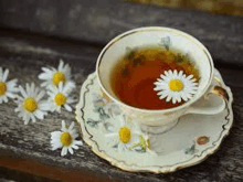 a cup of tea with daisies in it is on a saucer on a wooden bench .