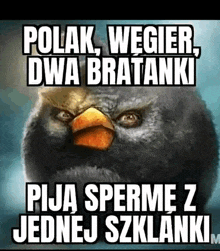 a picture of an angry bird with a foreign language caption