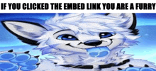 if you clicked the embed link you are a furry , a white furry with blue eyes is sticking out its tongue .