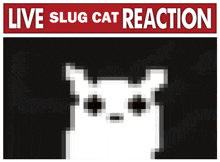 a poster that says live slug cat reaction with a pixelated cat