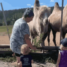 a woman feeding a camel while a child wears a t-shirt that says " i love you " on it