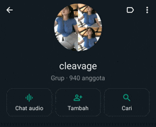 a screenshot of cleavage 's profile on a phone