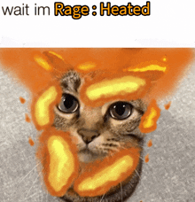 a picture of a cat with flames coming out of its face