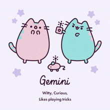 a cartoon drawing of two cats with the name gemini on it