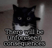 a black and white cat with the words " there will be unforeseen consequences " below it