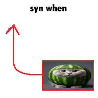 a picture of a cat wearing a watermelon with the words syn when above it