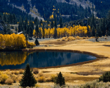 a lake surrounded by trees with yellow leaves in the fall