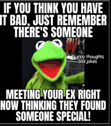 a kermit the frog says if you think you have it bad just remember there 's someone meeting your ex right now