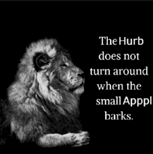 a black and white photo of a lion with the words " the hurb does not turn around when the small appl barks "