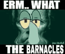 a picture of squidward from spongebob squarepants with the words `` erm what the barnacles '' written on it .