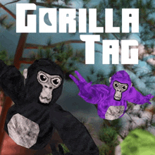 a purple gorilla is flying next to a black gorilla with the words gorilla tag above them