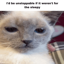 a cat with a caption that says i 'd be unstoppable if it weren 't for the sleepy on it