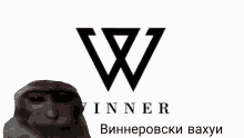 a monkey is standing in front of a logo for winner