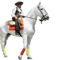 a man wearing a hat and sunglasses is riding a white horse