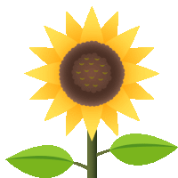 a sunflower has a brown center and green leaves