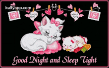 a good night and sleep tight message with two cats