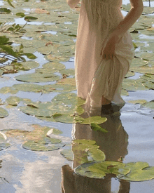 a woman in a white dress is standing in the water