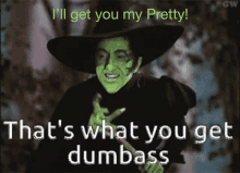 a picture of a witch that says ' i 'll get you my pretty that 's what you get dumbass '