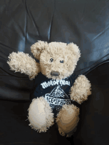 a teddy bear is wearing a motorhead ace spades shirt