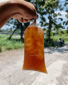 a person is holding a plastic bag of iced tea .