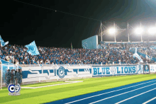 a stadium full of people with a banner that says blue lions