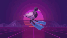 a duck wearing blue flippers is walking on a purple background