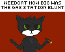 a pixel art of a black cat holding a cigarette with the words weedcat how big was the gas station blunt below it