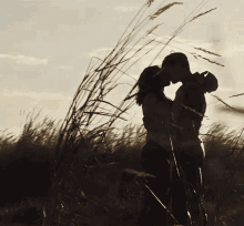 a silhouette of a man and woman kissing in a field of tall grass