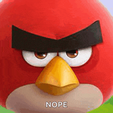 a red angry bird with a black eyebrow and a yellow beak is looking at the camera .