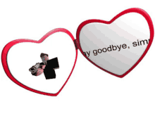 a picture of a man holding a gun with the words say goodbye sim written on it