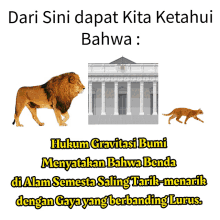 a picture of a lion and a cat with the words dari sini dapat kita ketahui bahwa