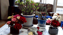 several potted plants are on a table including one that says ' i love you '