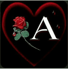 the letter a is on a red heart with a rose