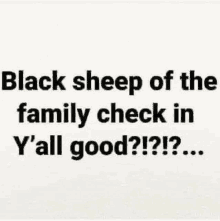 a black sheep of the family check in y'all good ??