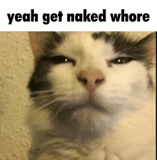 a picture of a cat with the words yeah get naked whore below it