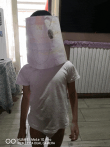 a person wearing a paper bag on their head is taken by a huawei mate 10 pro camera