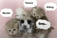 a group of kittens with speech bubbles saying torture murder killing and goog