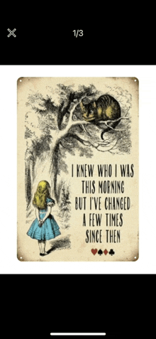 alice in wonderland poster that says " i knew who i was this morning "